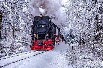 Ferienwohnung für 5 Personen, mit Garten in Benneckenstein