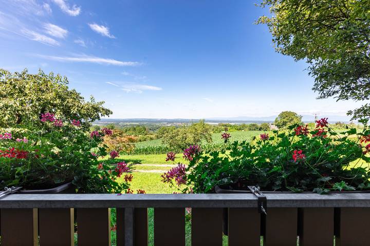 Ferienwohnung für 4 Personen, mit Garten in Bad Bellingen - 3