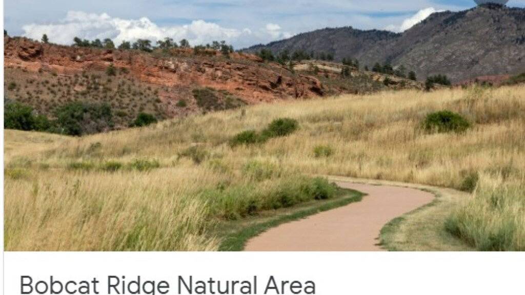 Walk to Old Town und Csu ... Exquisite! in Fort Collins, Larimer County