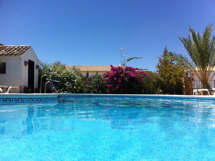 Hôtel pour 2 personnes, avec jardin et piscine, animaux acceptés à Osuna - 3