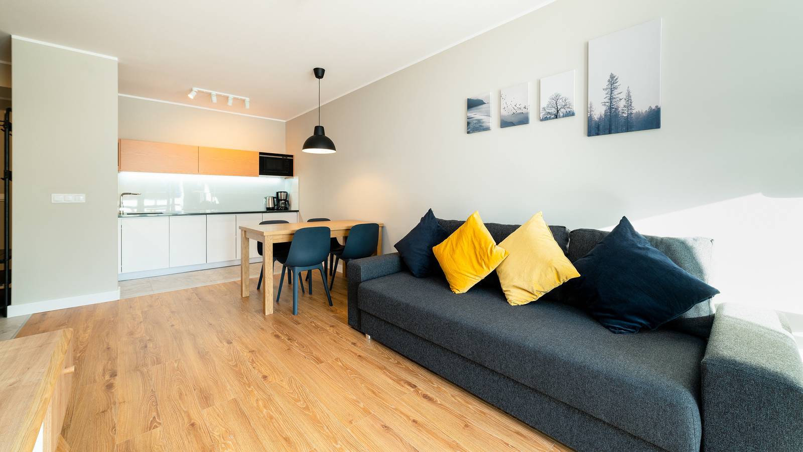 Cały apartament wypoczynkowy, Sun&Snow Triventi - Apartment in Karpacz, Sudety (Polska)