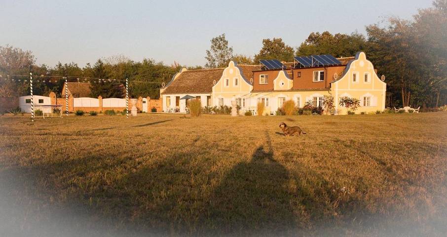 Gîte pour 2 personnes, avec jardin et vue à Vršac - 3