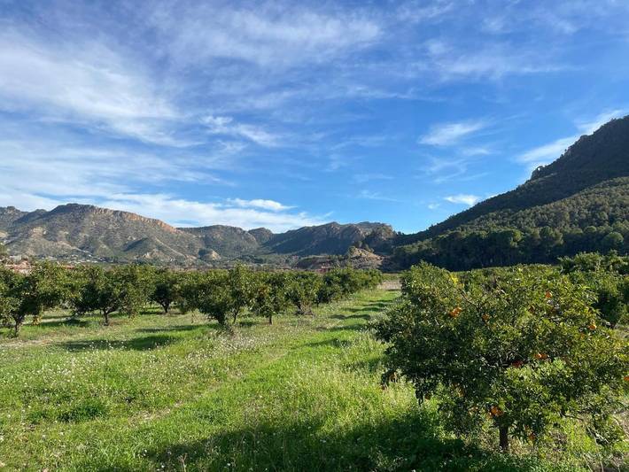 Casa rural para 16 personas, con jardín además de vistas y piscina en Vega Alta - 3