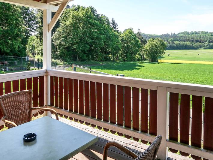 Ferienhaus für 3 Personen, mit Garten und Sauna sowie Terrasse, mit Haustier in Hessen - 2