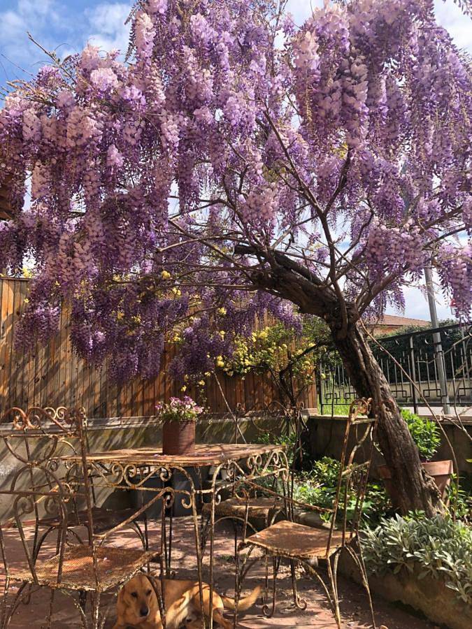 Gîte pour 8 personnes, avec terrasse et jardin à Arpino - 2