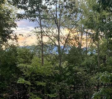 Log Cabin for 6 Guests in Douglas Lake, Sevier County, Picture 1