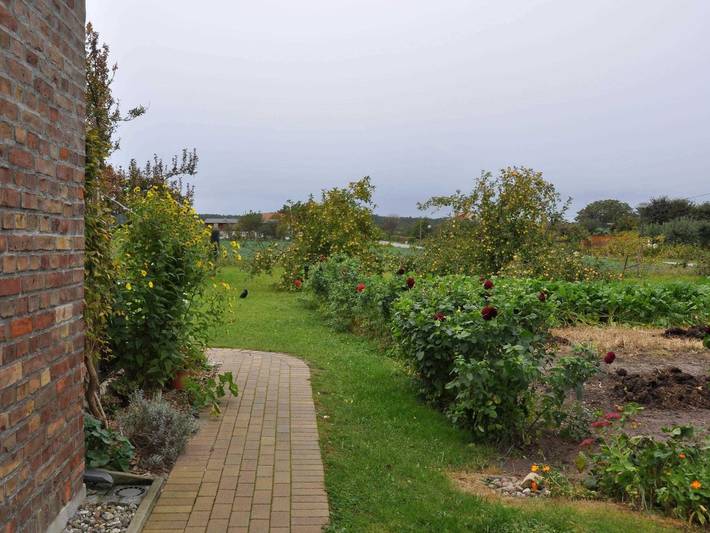 Bauernhof für 4 Personen, mit Garten und Terrasse auf Usedom - 4