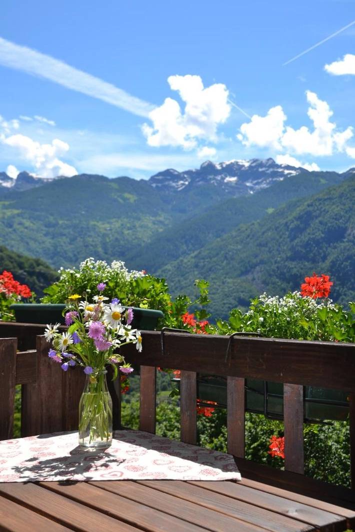Chambre d’hôte pour 2 personnes, avec vue et jardin, animaux acceptés dans Vallée d'Aoste - 2