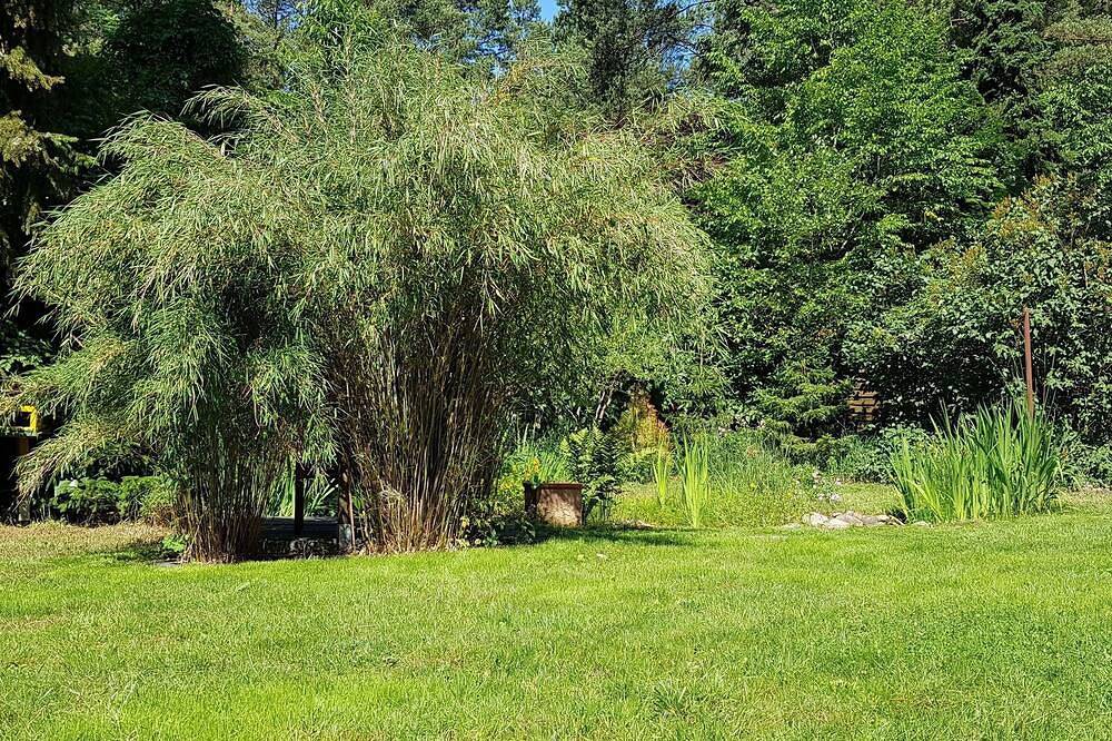 Ferienhaus für 6 Gäste mit 160m² in Beelitz (93160) in Fichtenwalde, Beelitz