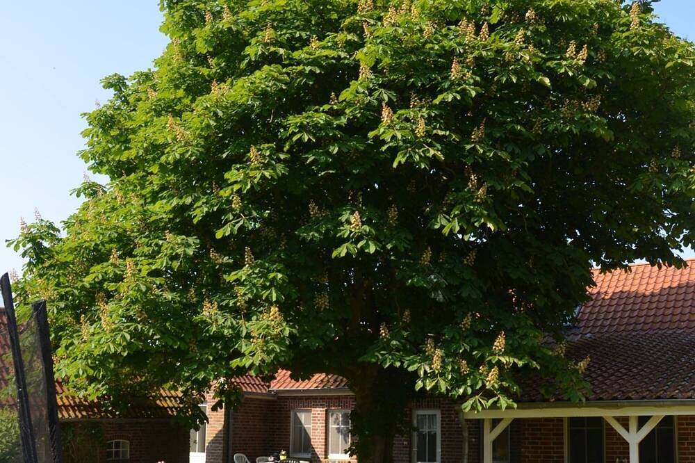 Ganze Wohnung, Nordseeküste direkt  am Deich +Naturstrand in Hagermarsch, Landkreis Aurich