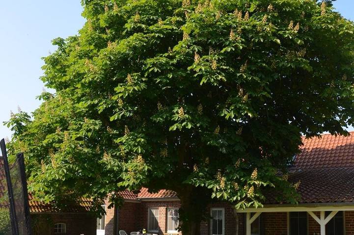 Ferienwohnung für 2 Personen, mit Garten in Hagermarsch - 2