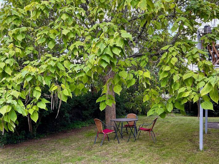 Ferienwohnung für 2 Personen, mit Balkon und Garten, kinderfreundlich in Homburg - 2