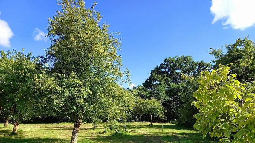 Location de vacances pour 8 personnes, avec jardin à Besneville - 2
