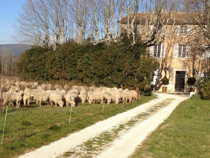 Chambre d’hôte pour 4 personnes, avec Terrasse et Jardin ainsi que Piscine et Vue à Brignoles