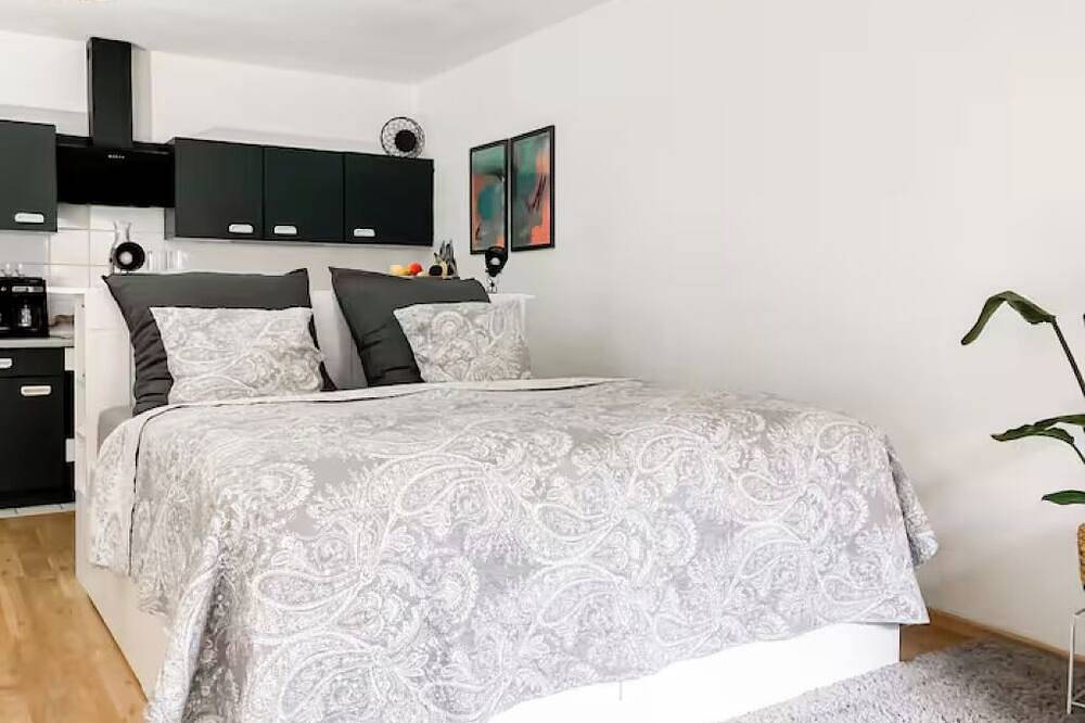 Entire apartment, Quiet studio at ❤️ in the old town ⭐️ near Würzburg Residence & Park ⭐️ in Würzburg, Franconian Wine Country