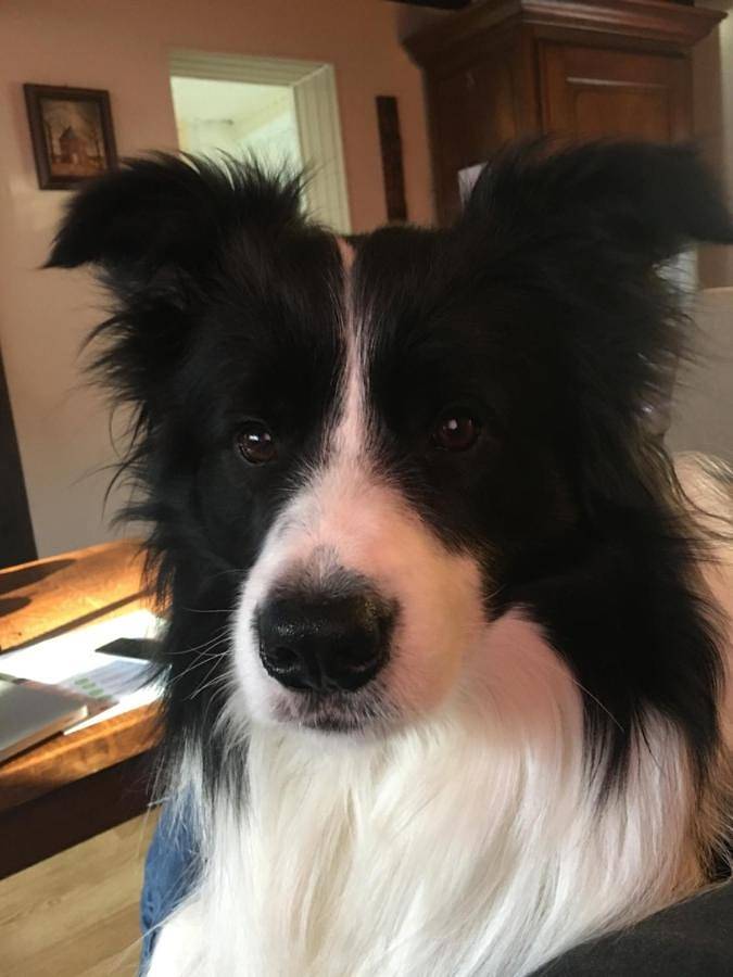 Location de vacances pour 2 personnes, avec vue ainsi que terrasse et jardin à Rendeux - 4