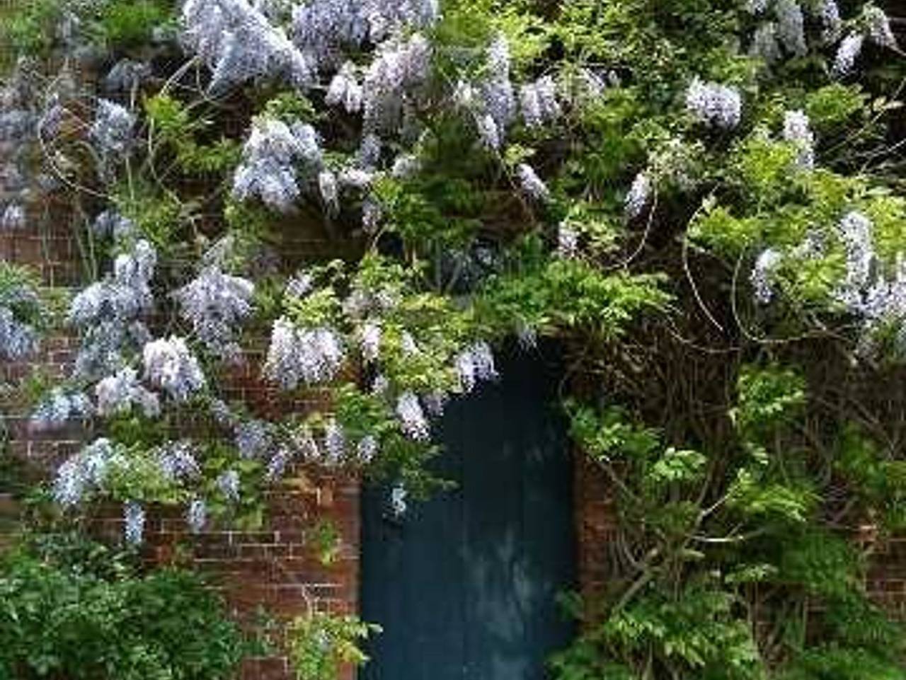 Ganze Ferienwohnung, Ferienwohnung unterm Reetdach - Ferienwohnung 1 in Stade, Cuxland