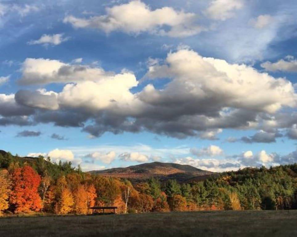 Trillium Cabin-Kabine-Whirlpool-Honeymoon-Blick auf den Wald in Adirondack Mountains