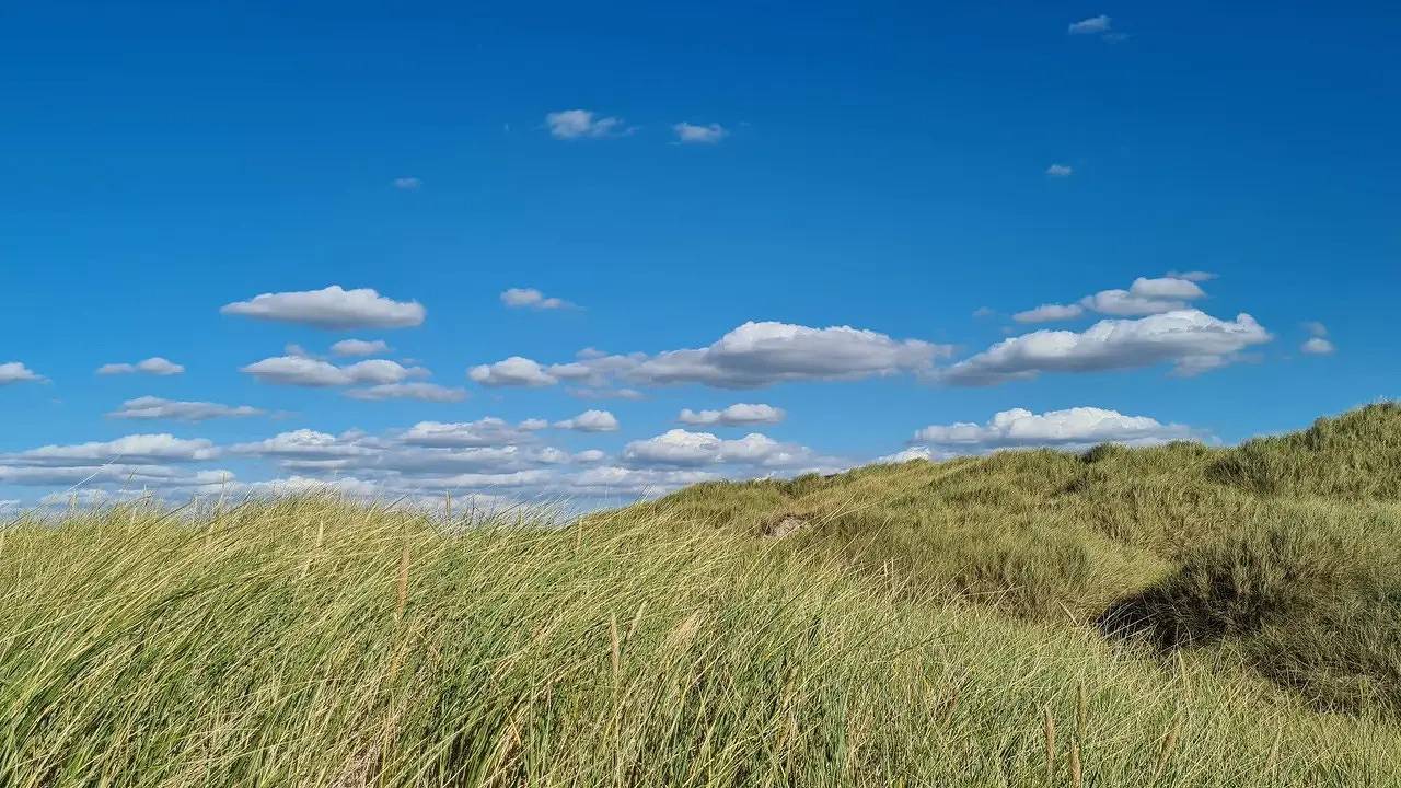 Ferienhaus für 12 Personen (150 m²) in Rødhus in Rødhus, Jammerbugt