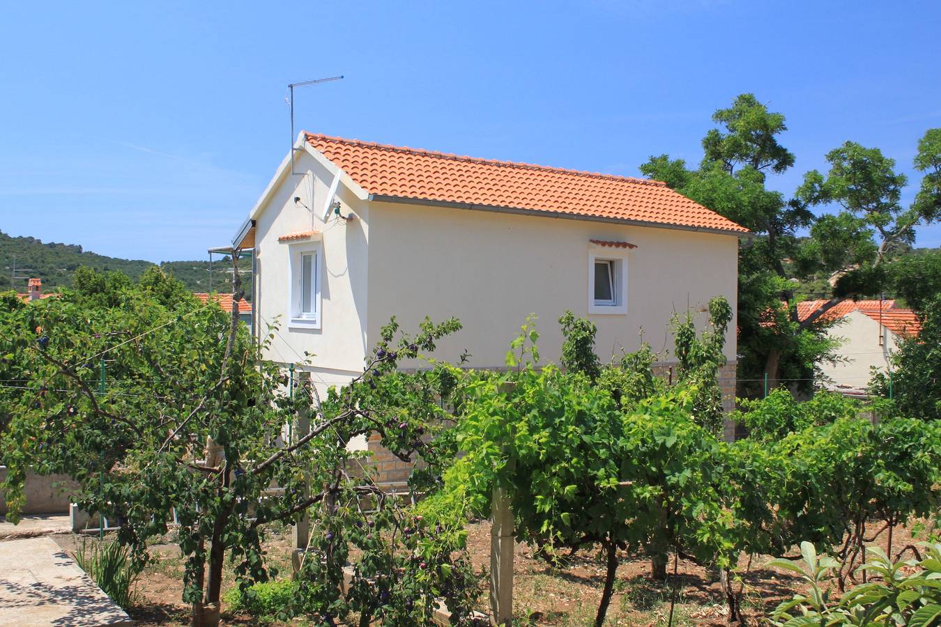 Ganze Wohnung, 1-Zimmer-Ferienwohnung mit Terrasse Sali, Dugi otok A-8189-a in Sali, Dugi Otok
