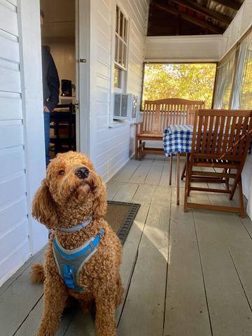 Cabin for 2 Guests in Northwood, New Hampshire, Picture 2