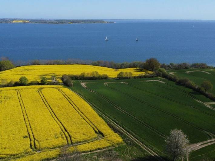 Ferienwohnung für 2 Personen, mit Garten in Westerholz - 3
