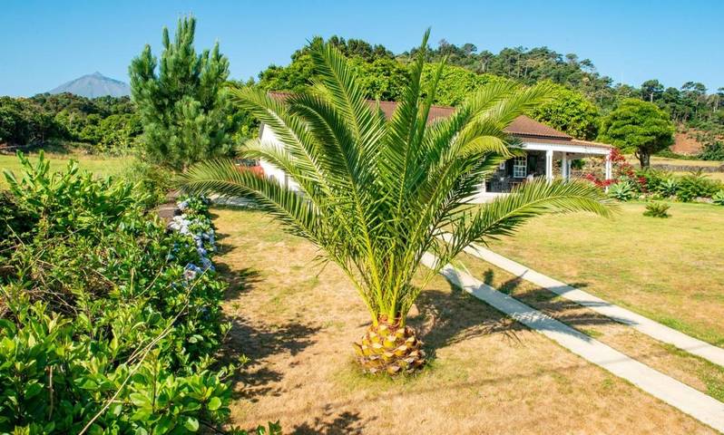Casa de férias para 6 pessoas, com jardim e vista, com animais de estimação na Ilha do Pico