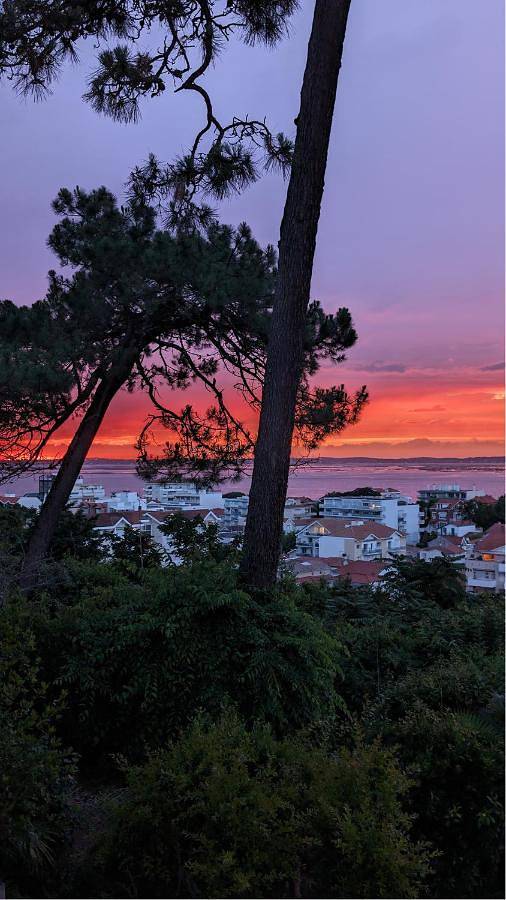 Maison d’hôte pour 2 personnes, avec jardin ainsi que piscine et terrasse à Arcachon - 3