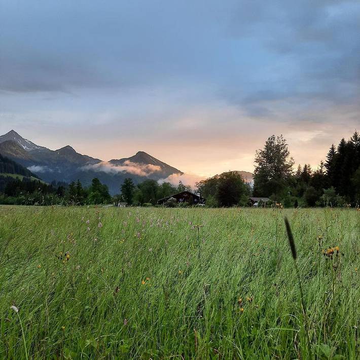 Ferienwohnung für 4 Personen, mit Balkon und Ausblick in Grän - 4