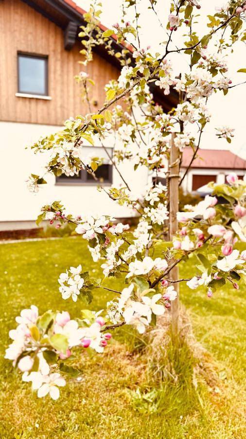 Ganze Wohnung, Ferienwohnungen mama Elva in Herlazhofen, Leutkirch im Allgäu