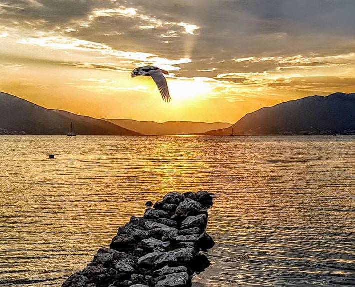 Chambre d’hôte pour 3 personnes, avec vue et balcon dans Tivat - 3