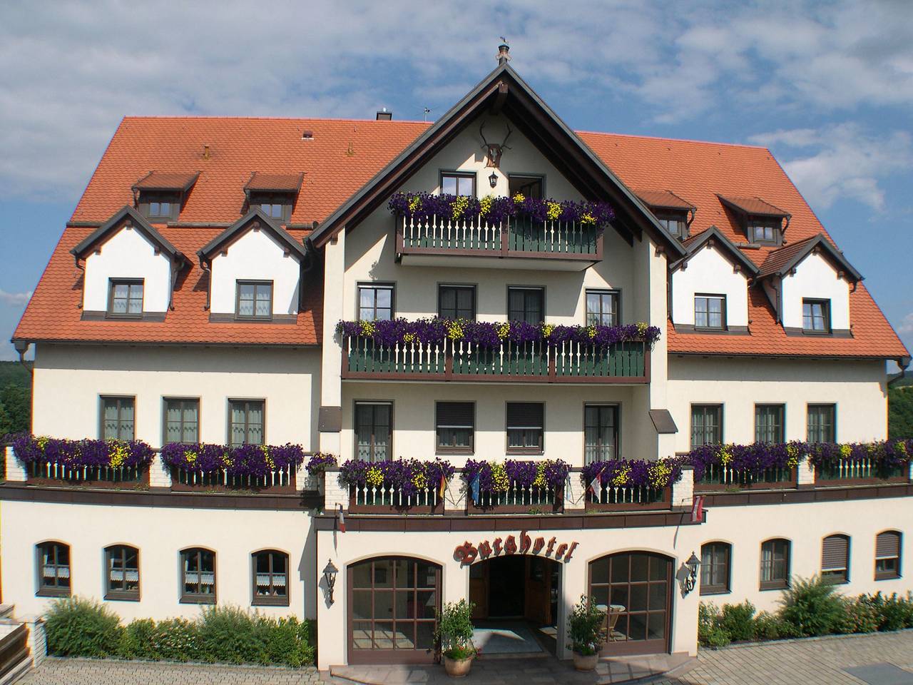 Goldener Hirsch - Einzelzimmer Premium - Burghotel in Burgthann, Frankenalb