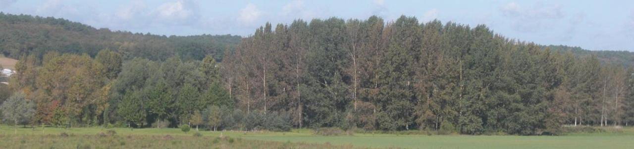Location de vacances pour 6 personnes, avec piscine et jardin à Allonnes - 2