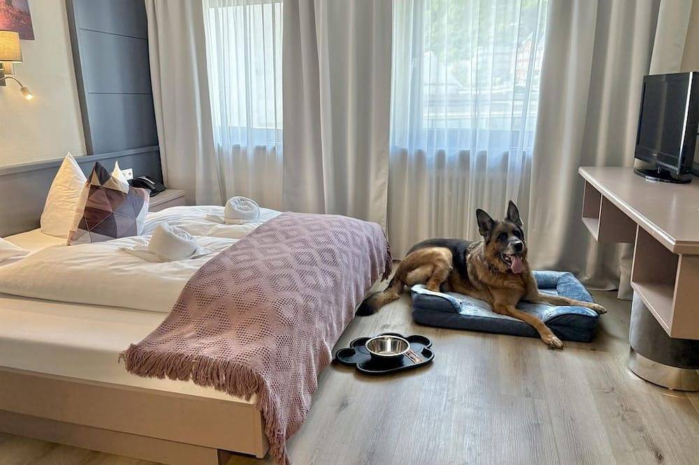 Economy Zimmer - Hotel Schrofenstein in Landeck, Bezirk Landeck