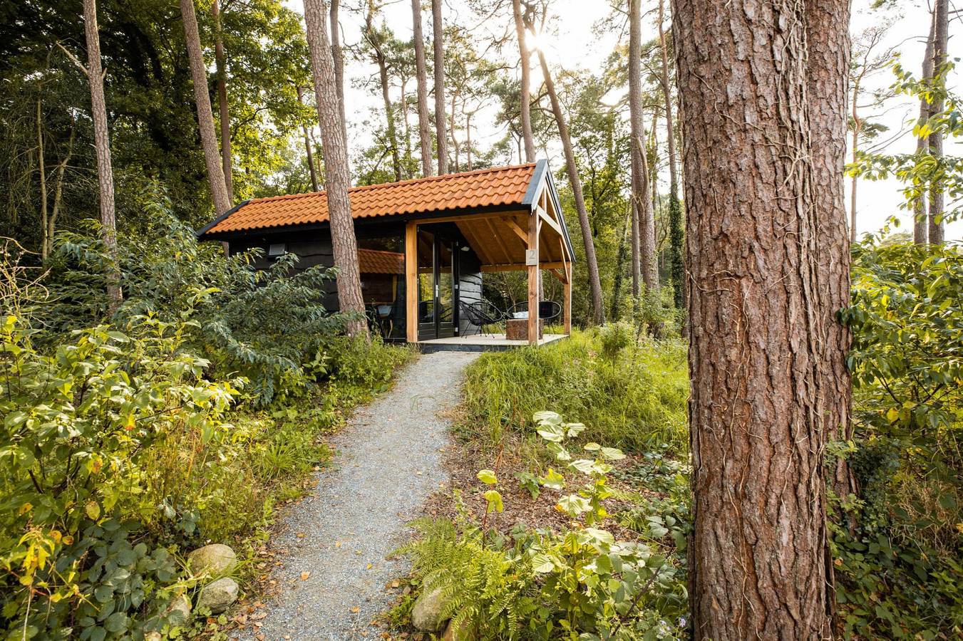 Gemütliches Tiny House für 4 Personen mit Whirlpool auf einem Park am Waldrand in Drenthe in Drenthe