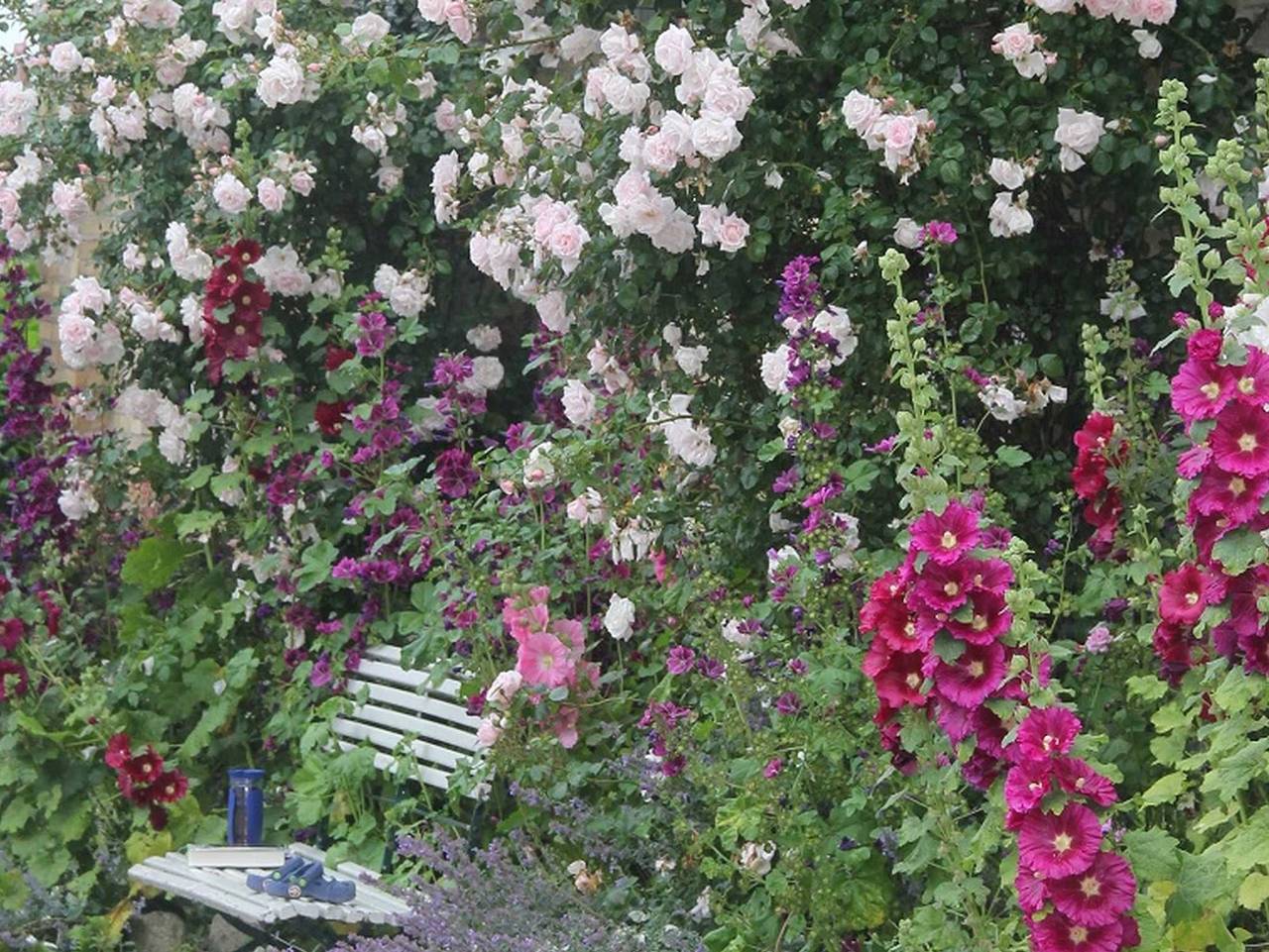 Ferienwohnung Gartenblick - Ferienhof Börsby - Ferienwohnung Gartenblick in Geltinger Birk, Pommerby