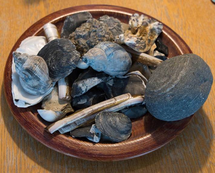 Ferienwohnung für 4 Personen, mit Balkon auf Langeoog - 2