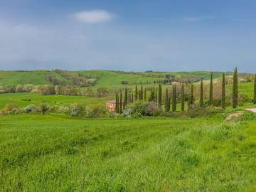 Agriturismo per 8 Persone in Buonconvento, Siena e dintorni, Foto 1