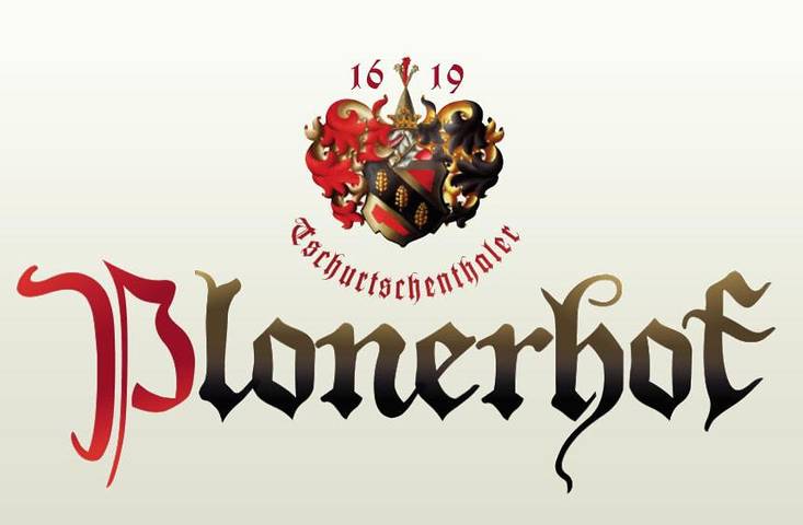 Ferienhaus für 24 Personen, mit Pool und Ausblick sowie Balkon im Eisacktal - 3