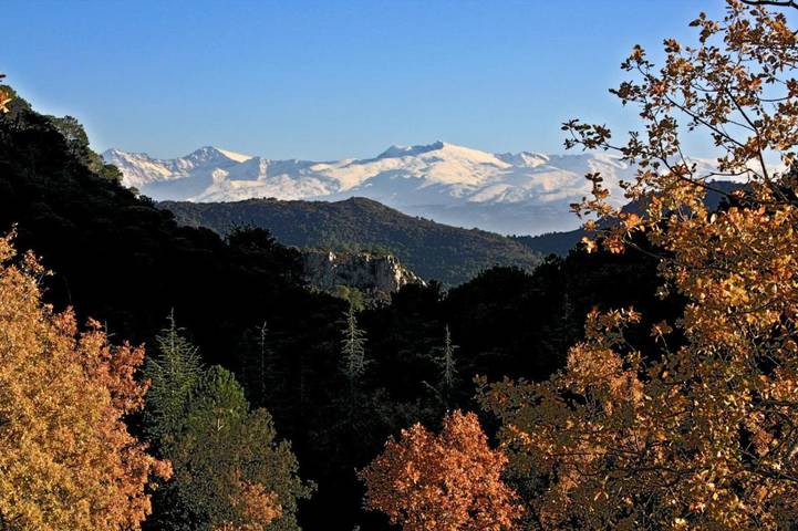 Casa rural para 20 personas, con piscina además de jardín y vistas en Granada - 2