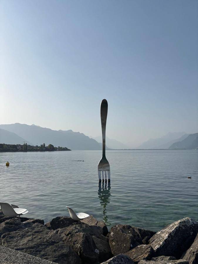 Gîte pour 2 personnes à Vevey - 2