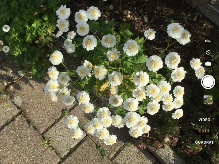 Location de vacances pour 6 personnes, avec balcon et vue à Osijek - 4