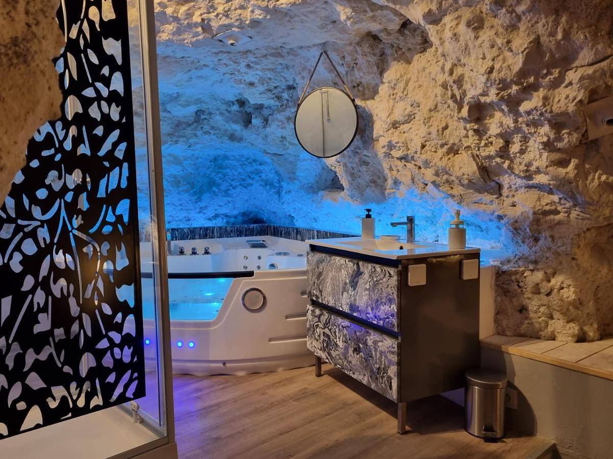 Le clos des violettes in Amboise, Tours region