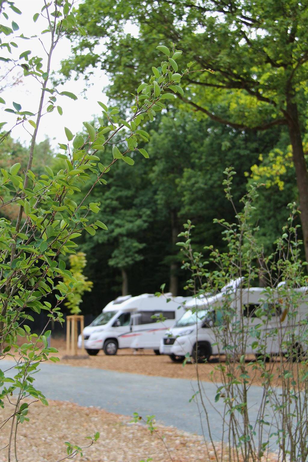 Glamping Erlebnis - Safari Lodge in Heroldsbach, Oberfranken
