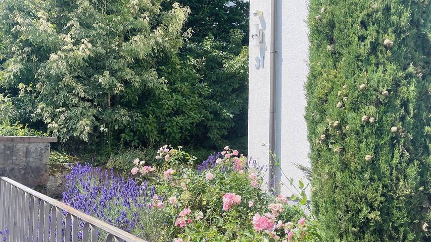 Ferienhaus für 5 Personen, mit Garten im Pfälzer Wald - 2