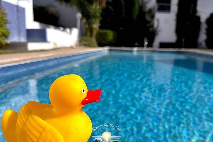 Holiday rental for 3 people, with pets in Peyia