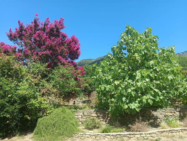 Gîte pour 2 personnes, avec vue ainsi que jardin et terrasse à Mons (Béziers) - 3