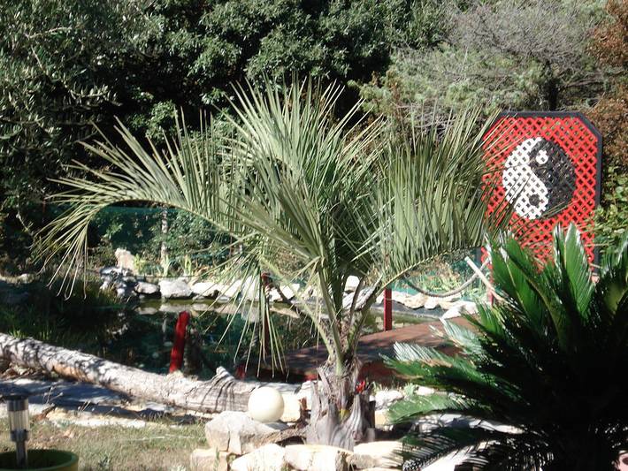 Chambre d’hôte pour 4 personnes, avec jardin et terrasse dans Privas - 2
