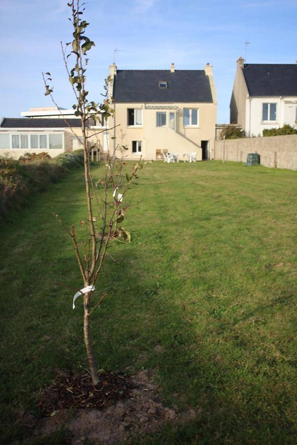 Location de vacances pour 6 personnes, avec jardin et vue à Lanildut - 4