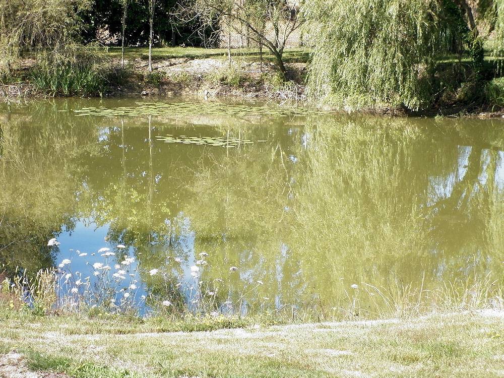 Les Étangs Bleus - Chambre Rouge in Pipriac, Région de Redon